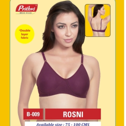 Prithvi - Rosni
