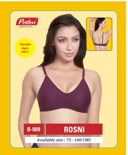 Prithvi - Rosni
